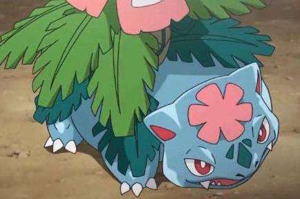 【精灵宝可梦】盘点各系御三家宝可梦前三强代表，新无印篇最后又会有谁能上榜？