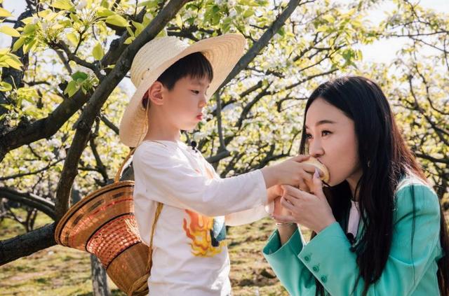 孙俪：孙俪为娃发豆芽上热搜，获赞百万，孩子的差距，就是这样拉开的