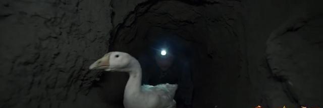 [龙岭神宫]《龙岭迷窟》《龙岭神宫》接连翻车！细数网大鬼吹灯三大槽点