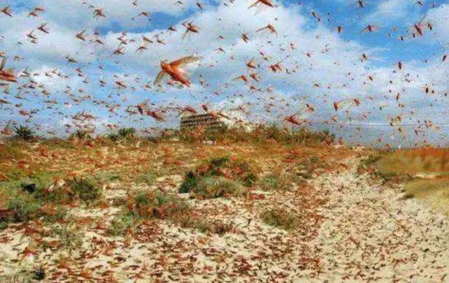 日本|一旦我国进入战备状态，老百姓到底该怎么办？做法其实很简单