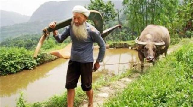 小志的历史观点|老人为儿子的病发愁，愿意出售“家传宝”，却遭到专家的阻挠