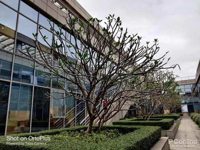 5g手机|5G手机哪款好？最值得入手的5G手机大对决