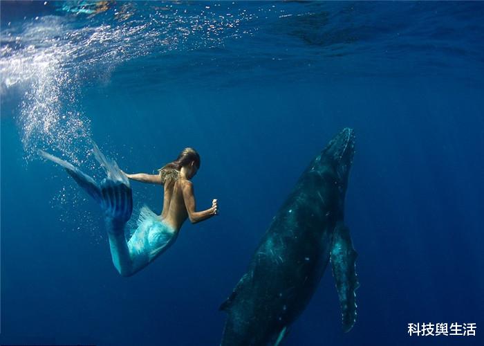 『科学家』有目击者称看到美人鱼，浑身散发出光泽，或关乎海底文明！