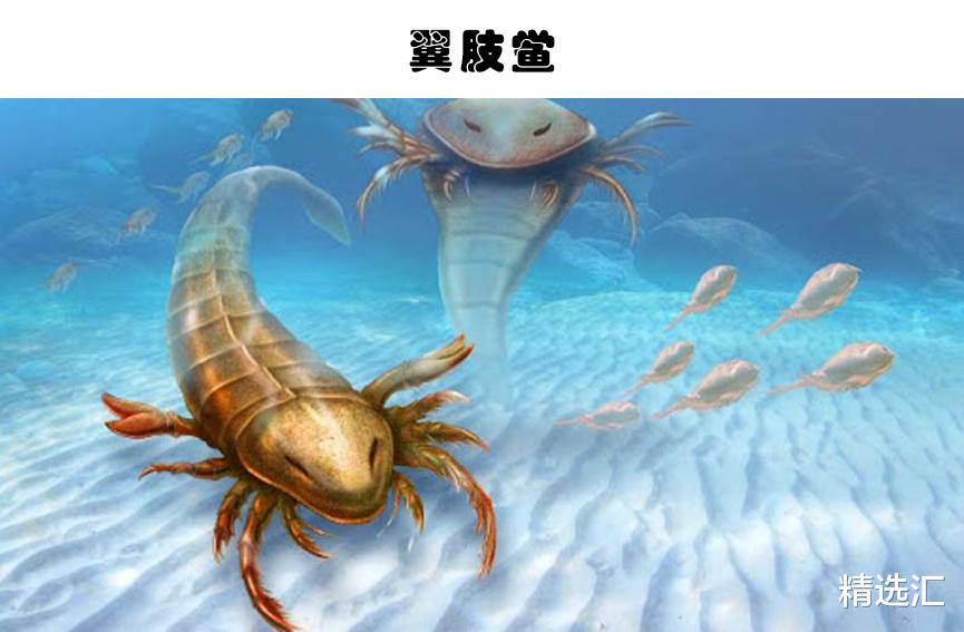 化石|奇特的灭绝生物：人类或许会庆幸已经灭绝的7个可怕生物