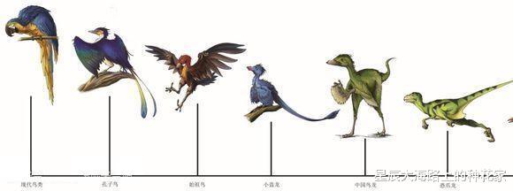 恐龙|文艺复兴时期油画中出现恐龙!不是早灭绝了吗?到底是什么动物?