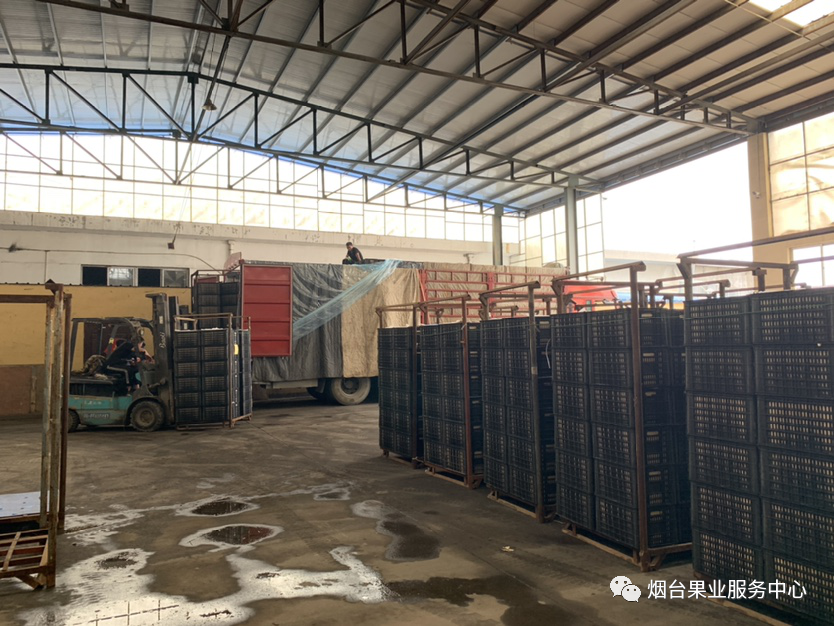 苹果|清库时间还剩下2个月，库存苹果能否逆风上扬？