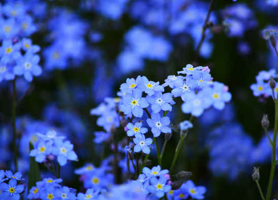 ：6月开始，4属相好运连发，贵人提携，财运旺盛，喜事多多