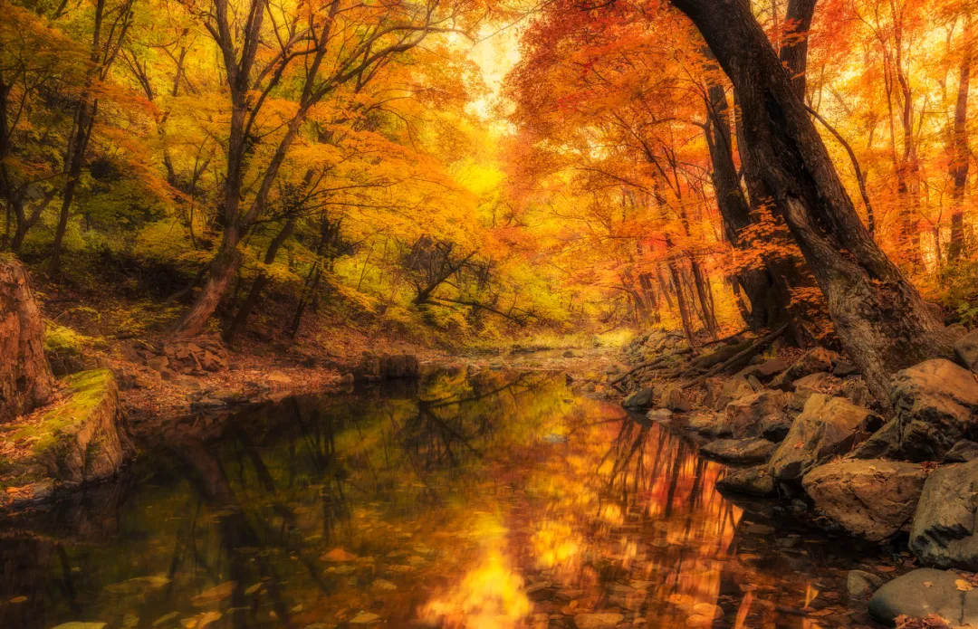 长白山|秋天的东北藏不住了，一组照片流出后，全世界都被惊艳了！