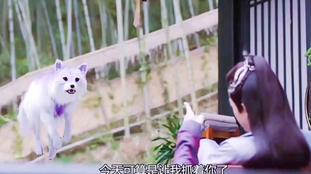 琉璃云歌会|36天的守候，一段旋律仍会想起情节，《琉璃云歌会》却使剧在人非