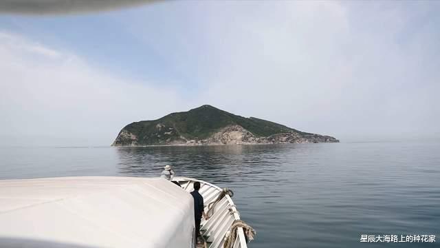 毒蛇|茫茫大海中的大连蛇岛，为什么有那么多毒蛇，它们都是从哪来的？