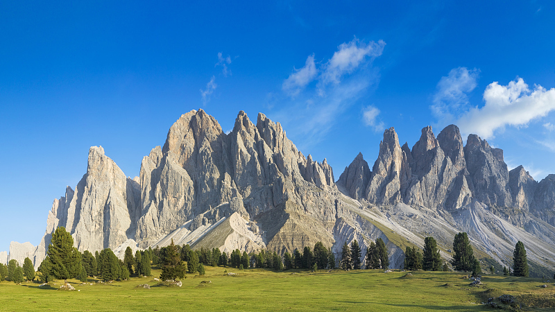 「生肖」6月上旬，运势大吉，3生肖福到运来，喜事临门，皆大欢喜