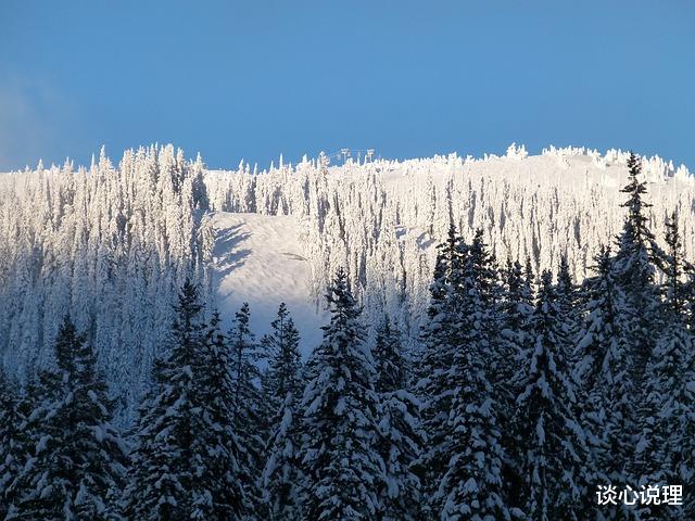 射手座|11月,惺惺相惜,何惧三千情敌,3星座再续前缘,携手相爱相依