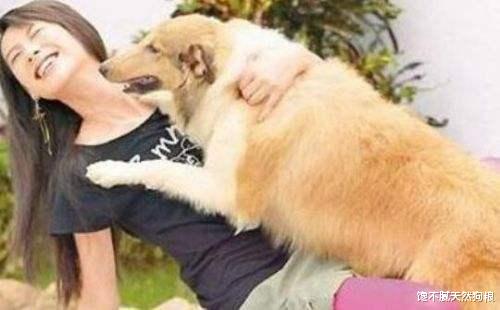 狗狗忽然学狼叫，是在告诉你这5件事，你知道吗？