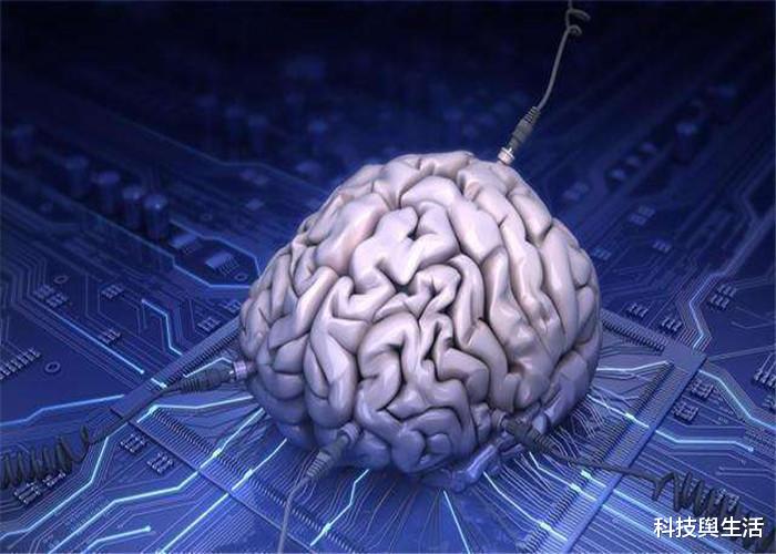 「科学家」人类3岁前的记忆全消失了，究竟被谁偷走了？科学家给出答案！