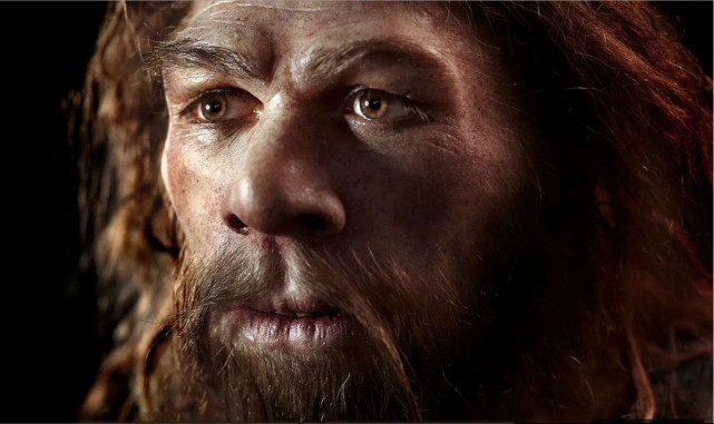 智人|尼安德特人与现代人类之间战争的证据