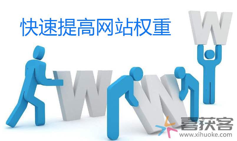蜘蛛|快速提高网站权重的技巧解析