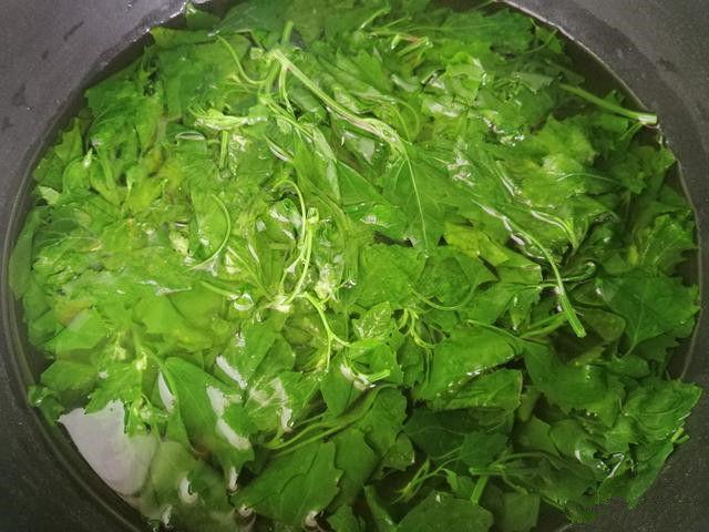 鸡蛋|人没老,腿先老!路边的“天然钙库”,补钙比鸡蛋强太多,还免费