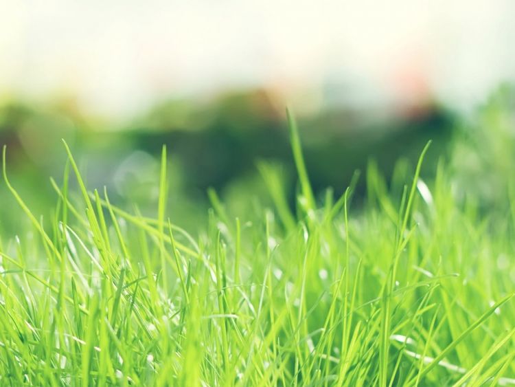 运势|熬过中旬后，3生肖运势腾腾起，正财滔滔，偏财连连，有钱随便花