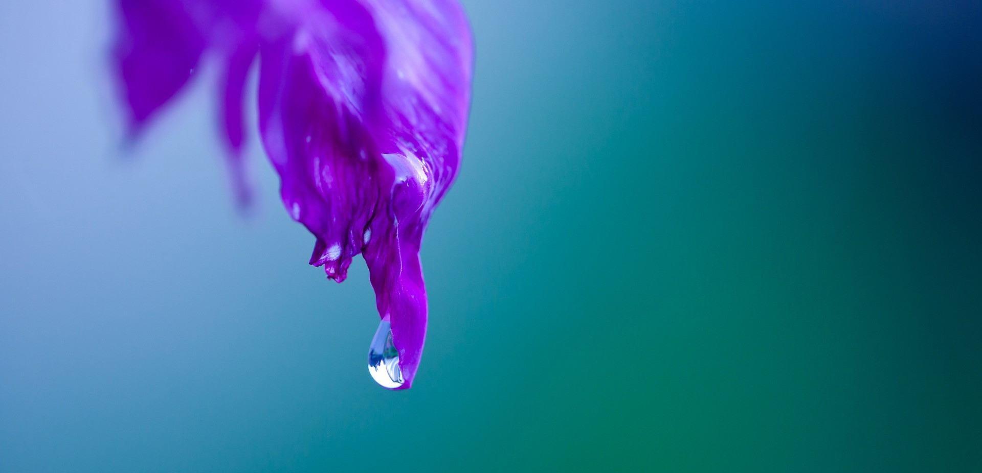 旧爱|九月末，秋分时节，星河长明，三星座桃花重启，扑进旧爱怀里