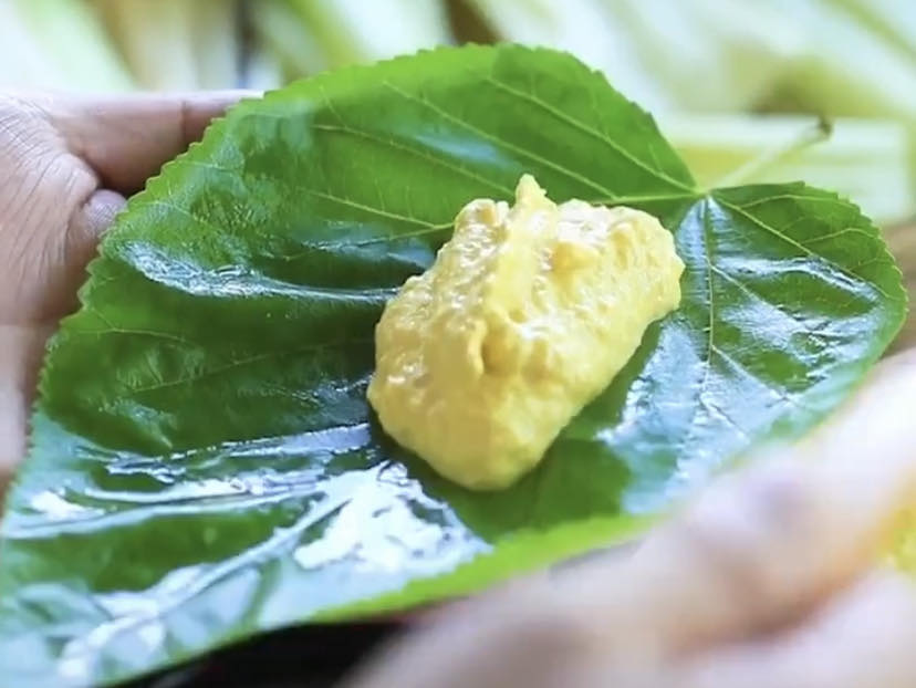 「玉米」夏季你肯定吃过的玉米全身都是宝