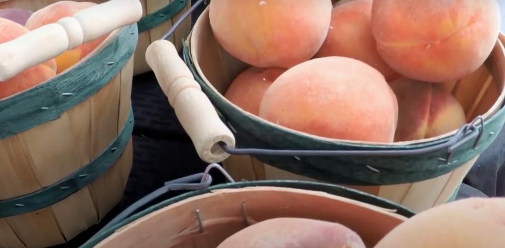 「世界真奇妙」科学冷知识 看过才知道世界真奇妙 那些神奇的秘密（第十一期）