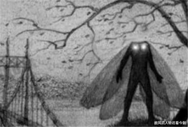 ：世界上有没有天蛾人？目击事件证实天蛾人已不再神秘！
