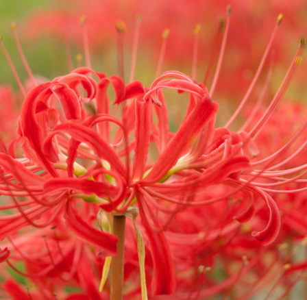 #横财就手#7月份迎来好运程，4属相精神抖擞，正财增长，横财就手，日子红火