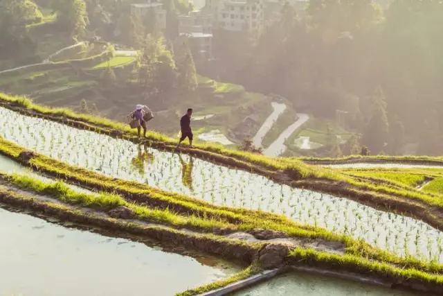 梯田|适合国庆假期穷游的地方，梯田、瀑布、樱花、峡谷，风景优美宁静