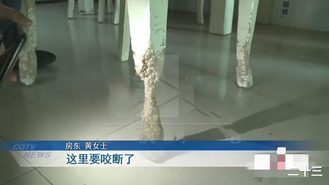 ##租客不辞而别，女房东收房被气炸：房子被哈士奇“拆家”，墙都要垮了！