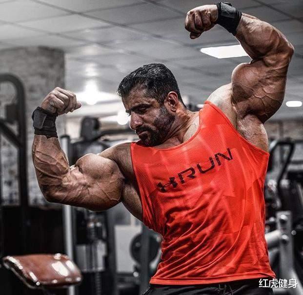 哈迪|亚洲巨兽“波斯狼”哈迪，坦克背的训练方法