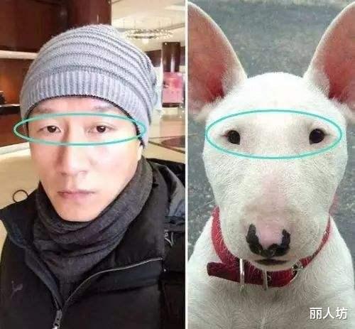 撞脸■撞脸明星的动物们，严肃点，不许笑！哈哈哈实在忍不住啊！！