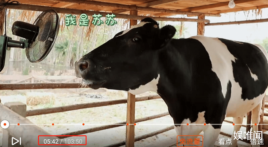 向往的生活第四季：《向往的生活4》开播四期，节目组的两个承诺，目前只完成了一个