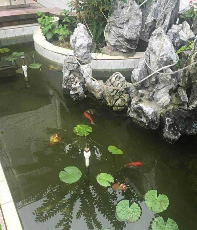 晒晒农村婆家给我准备的婚房, 自建房不输别墅!