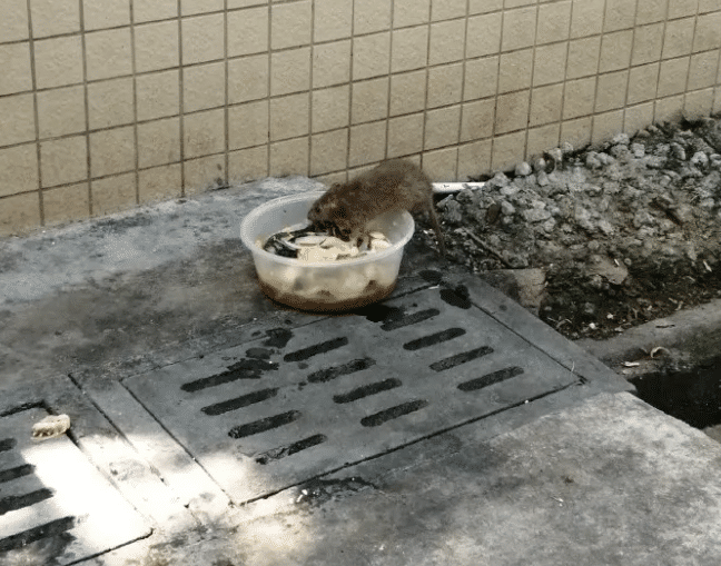 陶虹|长得丑但有一个漂亮的女朋友是一种怎么样的体验呢?评论区是魔鬼