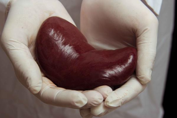 「贫血」肾好不好，看身体这十个变化！若超过3个，警惕肾脏或已发生病变