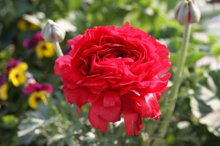 星座爱情观|九月份,爱情上上签,有望遇真爱,直奔结婚喜脱单的四大星座