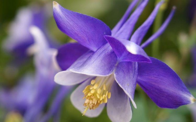 生肖|8月春心萌动，爱意萌发，真情相濡以沫，爱情有望更加长远的4生肖