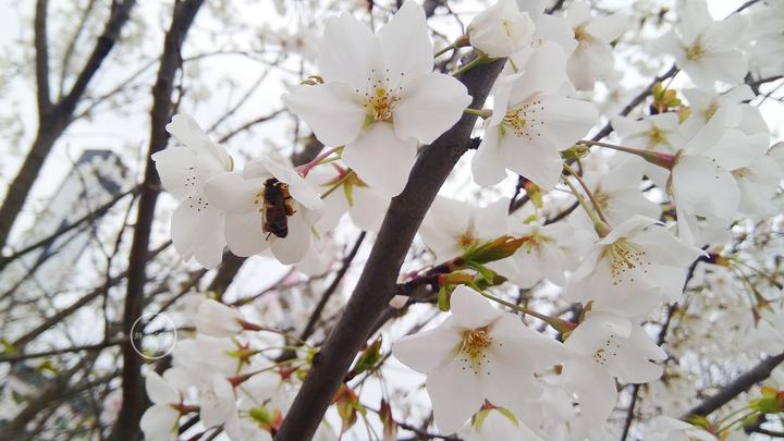 |别人不会但你会,能者多劳的你,开心吗
