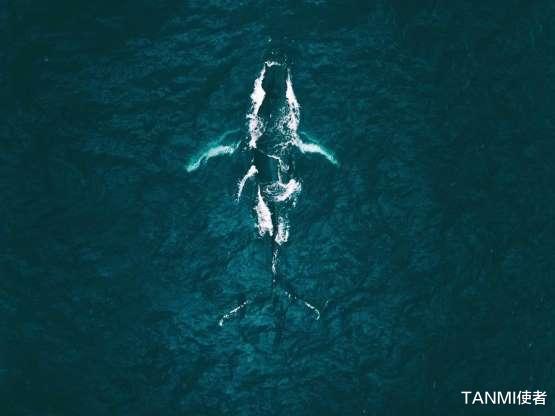 ：从空中看世界，原本平淡无奇的风景也能震撼人心！