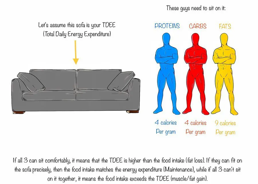 减脂|减这么久了，你怎么还是胖？