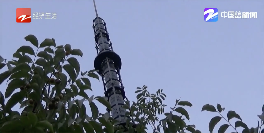 浙样的生活|离阳台50米装了5G信号塔，浙江一小区居民意见大了