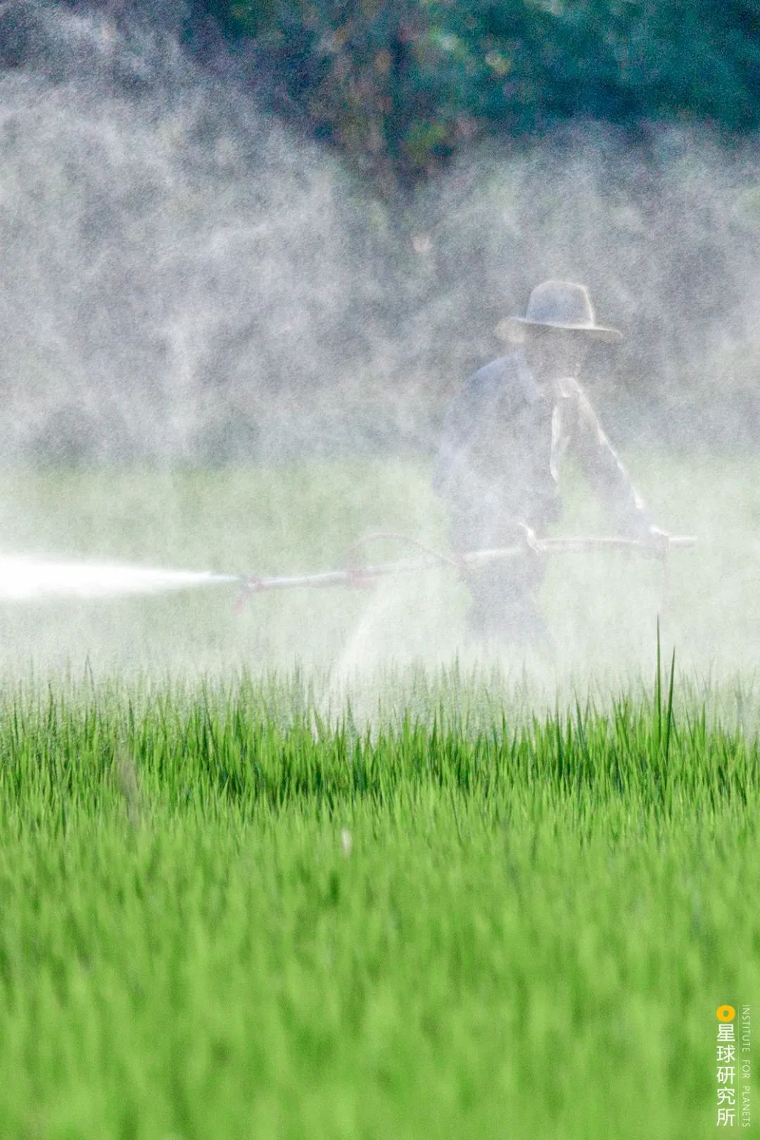 |30张图，偷偷说再见...