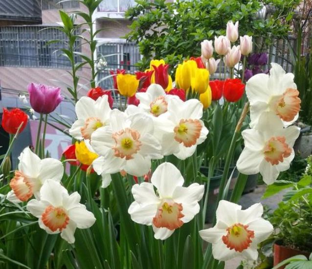 #摩羯座#未来一周，旧爱说情，句句入心，3星座感动至极，再次复合相守