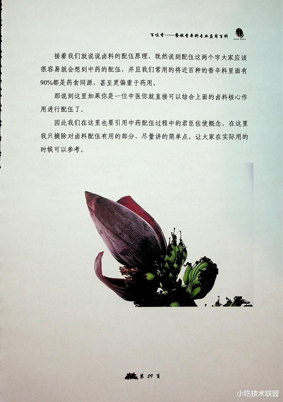 卤菜|香辛料专业理论知识，让你全面了解香辛料应用，卤菜师傅的宝典