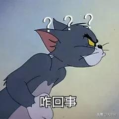 [蟒蛇]偷吃鸡鸭超50只！这条“贪吃蛇”和老板竟成“朋友”……