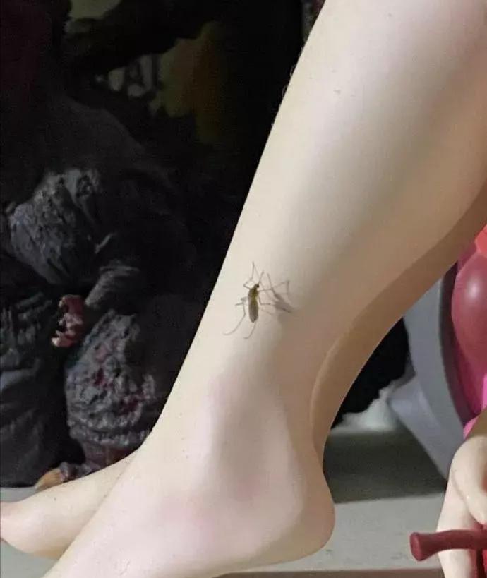 学霸说|“学霸说他考砸了,我以为他没及格,结果他说了自己的分数后我无语了”哈哈哈