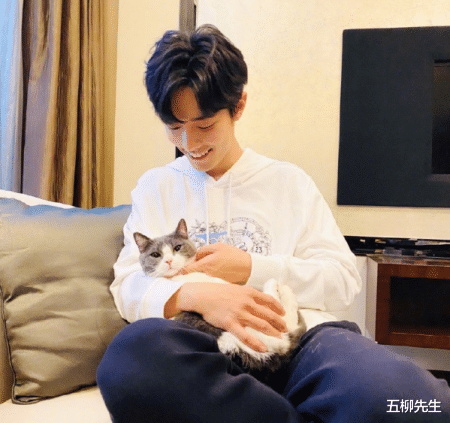 『肖战』巅峰归来？肖战单曲上线三小时售出600万张，顶流地位无可撼动