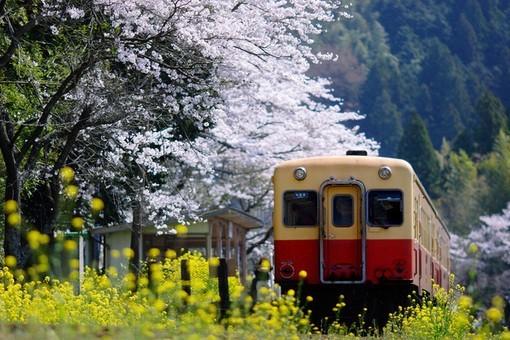 天蝎座|最有威慑力,能给人压力的星座