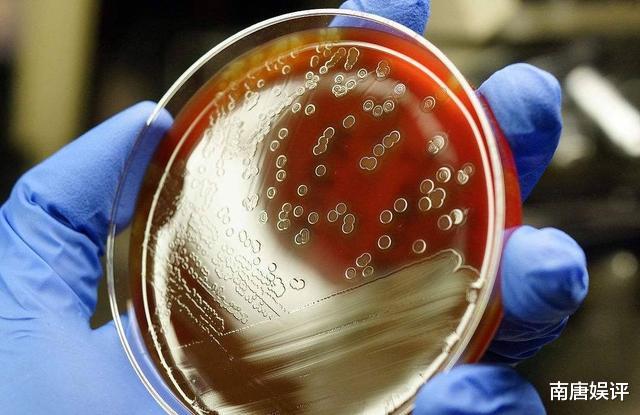 华为|打压华为？中国手中还有张王牌没出，白宫前顾问：能摧毁美国