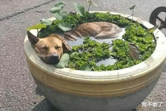 「」“坐车遇到一个美女，我怎么做才可以撩到她？”哈哈哈兄弟坐稳了